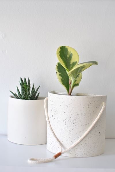 Demi - lune murale - Alma Plantes