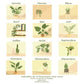 Calendrier Plantes 2022