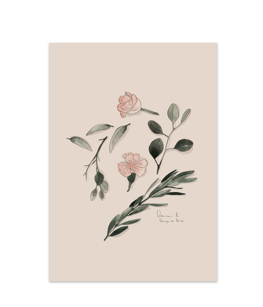 Illustration Composition Végétale - Alma Plantes