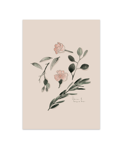 Illustration Composition Végétale - Alma Plantes