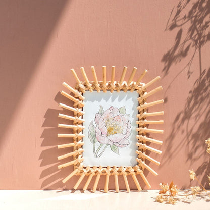 Illustration Pivoine - Alma Plantes