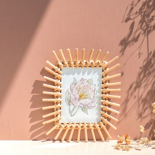 Illustration Pivoine - Alma Plantes