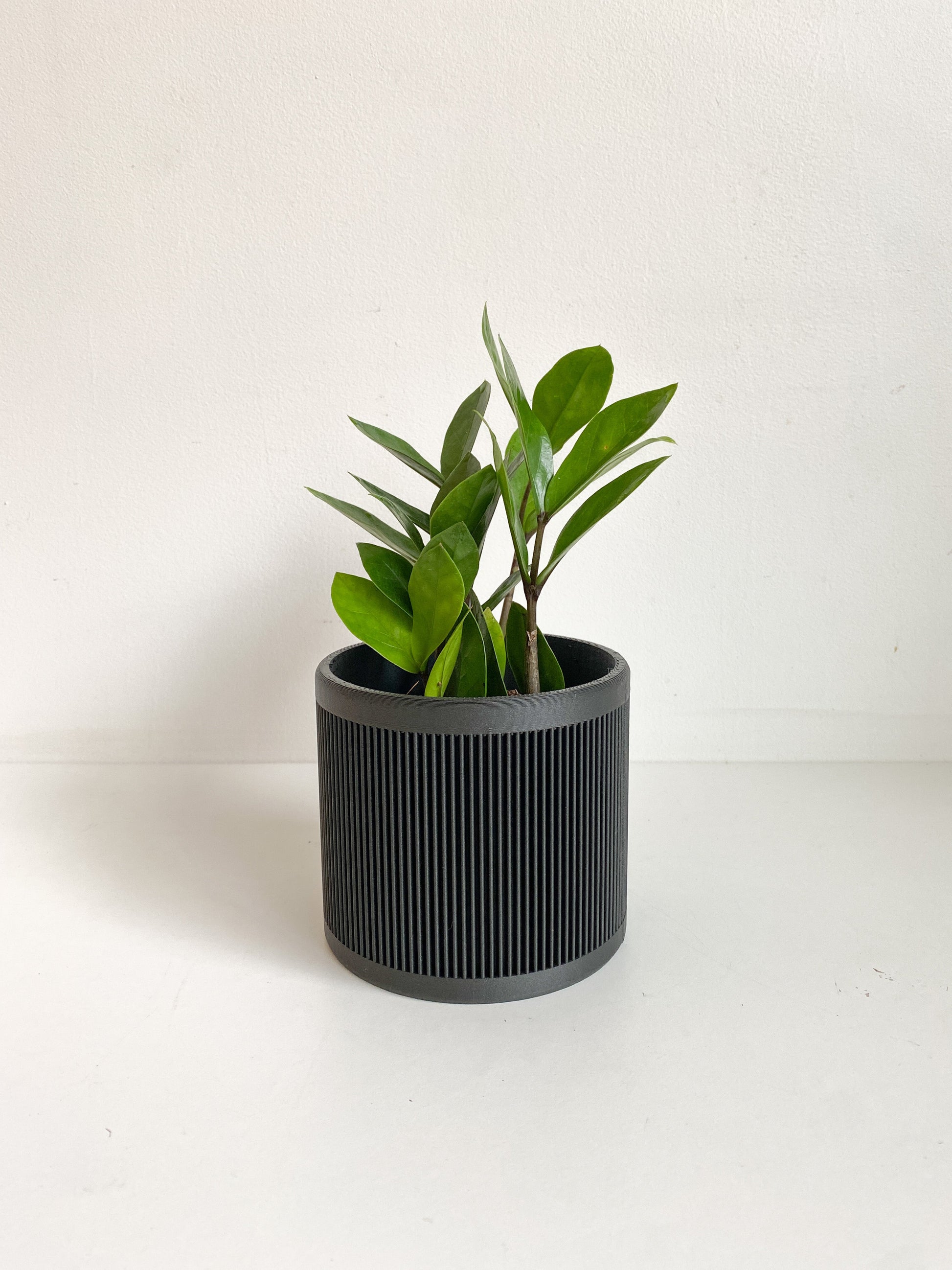 Cache pot ’Le Ligné’