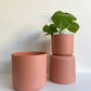 Cache Pot Cylindre - Rose