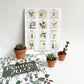 Calendrier Plantes 2022