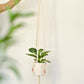 Jardinière ajustable - Montréal - Regular - Default