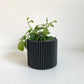 Cache pot ’Le Coquet’