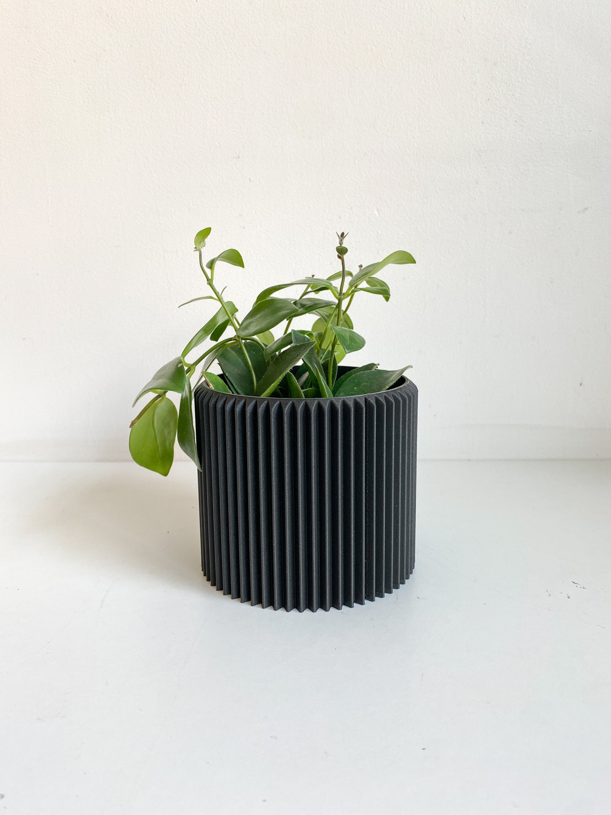 Cache pot ’Le Coquet’