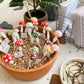 Plantshroom,