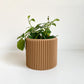 Cache pot ’Le Coquet’