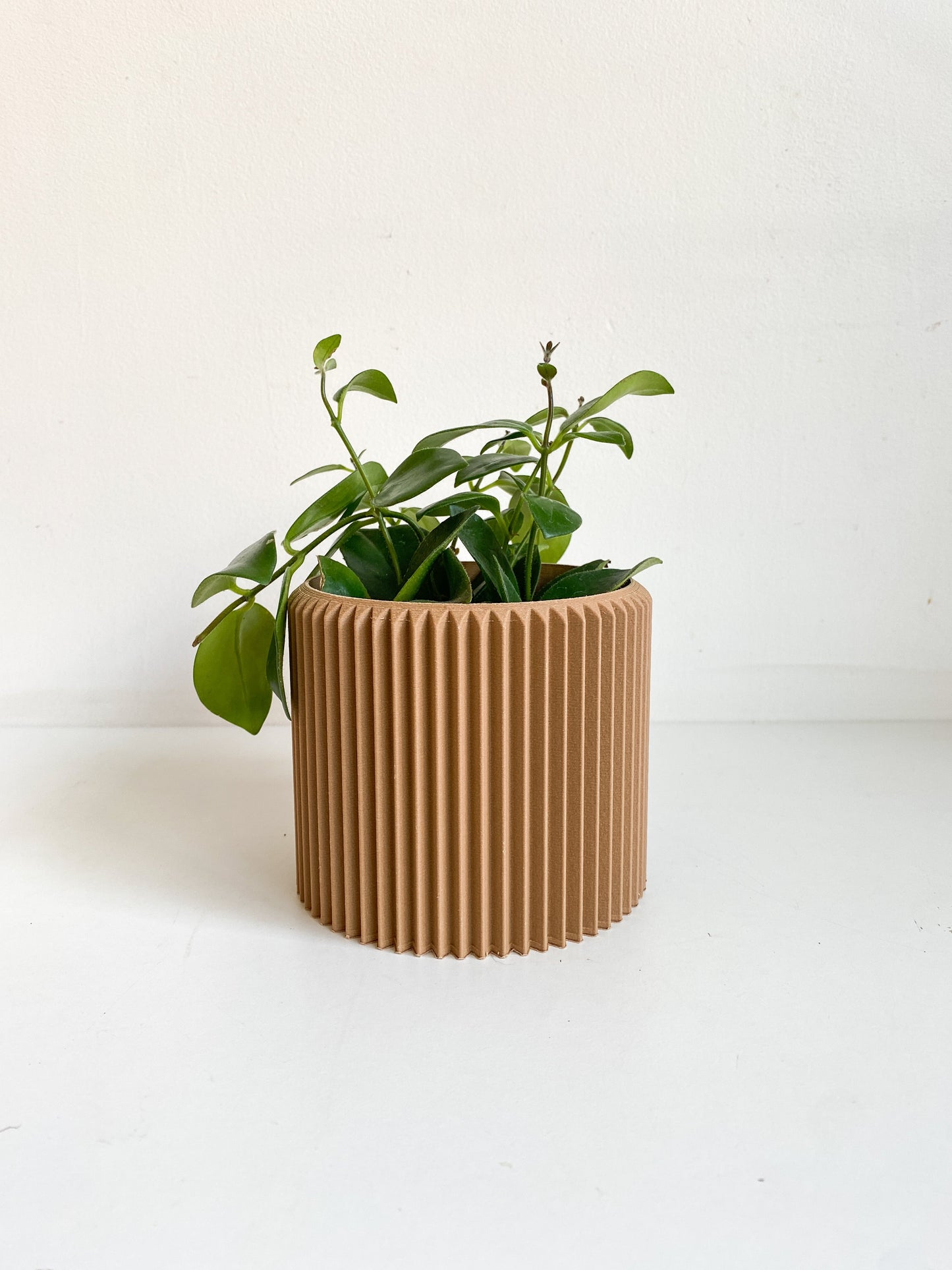 Cache pot ’Le Coquet’