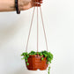 Mr. Bean (Senecio) 4.5 Po. Suspendu