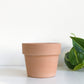 Cache-Pot En Terre Cuite Sienna - Fond Plat 4 Po. / Blanchi Default