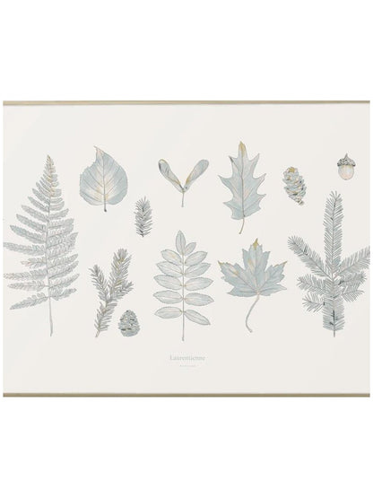 Affiche Forêt Laurentienne