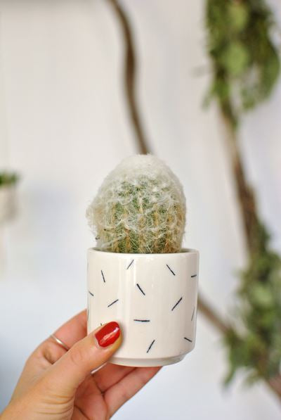 Pot mini - Confetti - Default