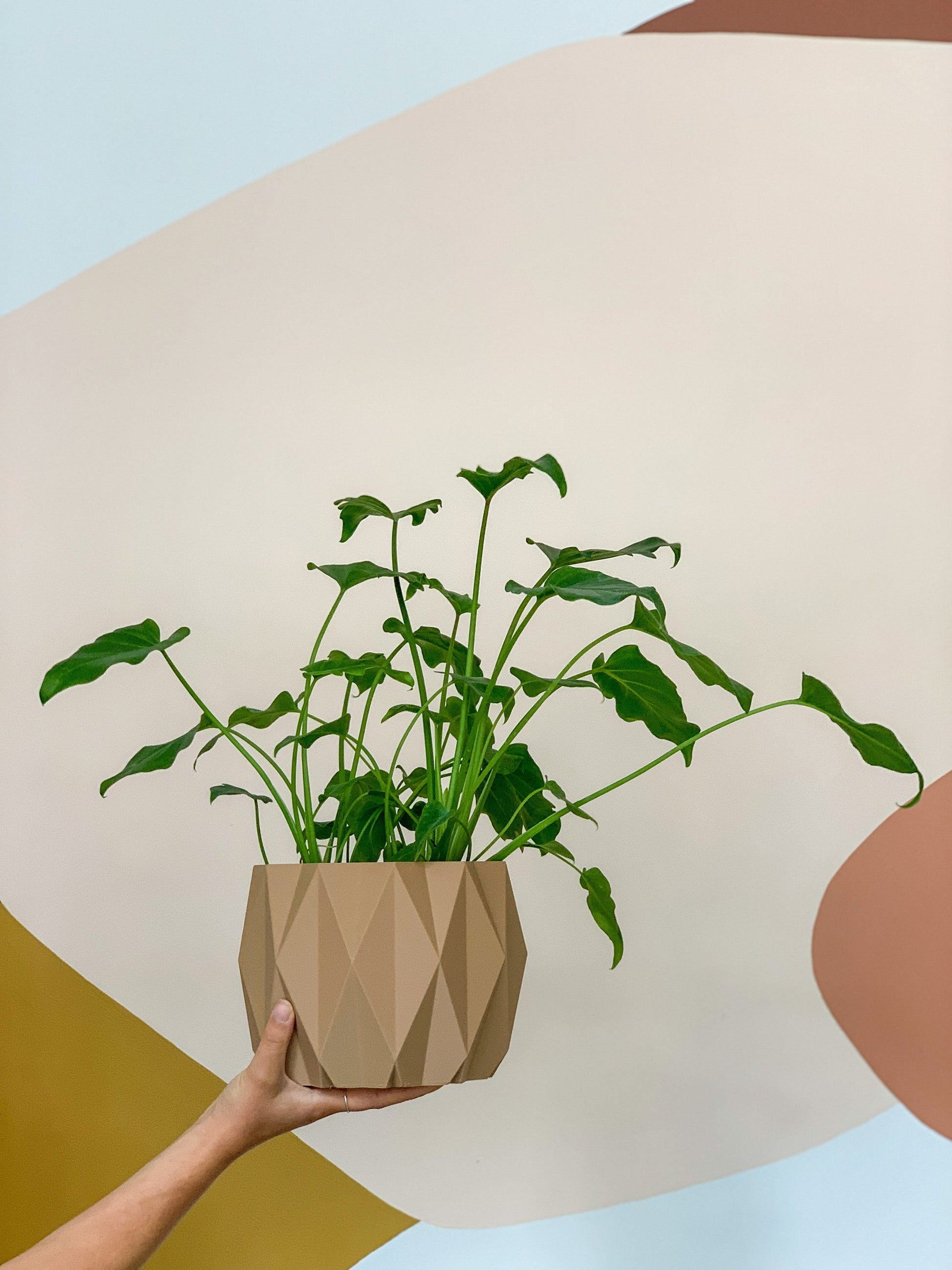 Cache pot ’Le Stylé’ - Grand (6 po.) / Bois