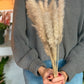 Pampas - Petit