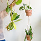 Jardinière Double Ajustable