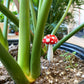 Plantshroom,