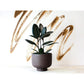 Pot Rudy Café / Moyen