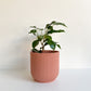 Cache Pot Texturé - Rose