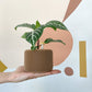 Plantshroom,