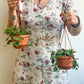 Hope (Peperomia)