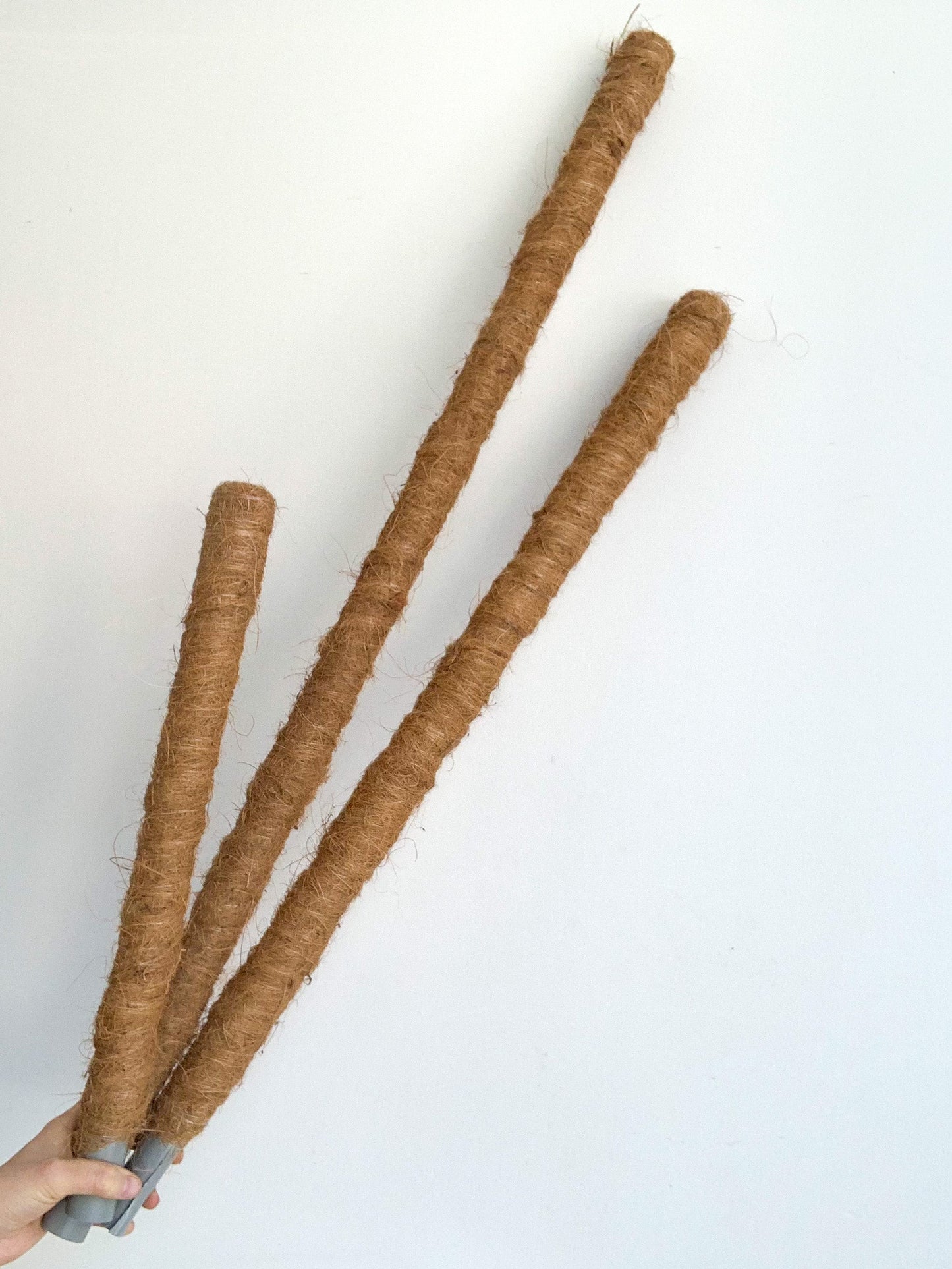 Pôle à plante en fibre de coco