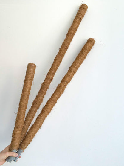 Pôle à plante en fibre de coco