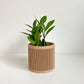 Cache pot ’Le Ligné’