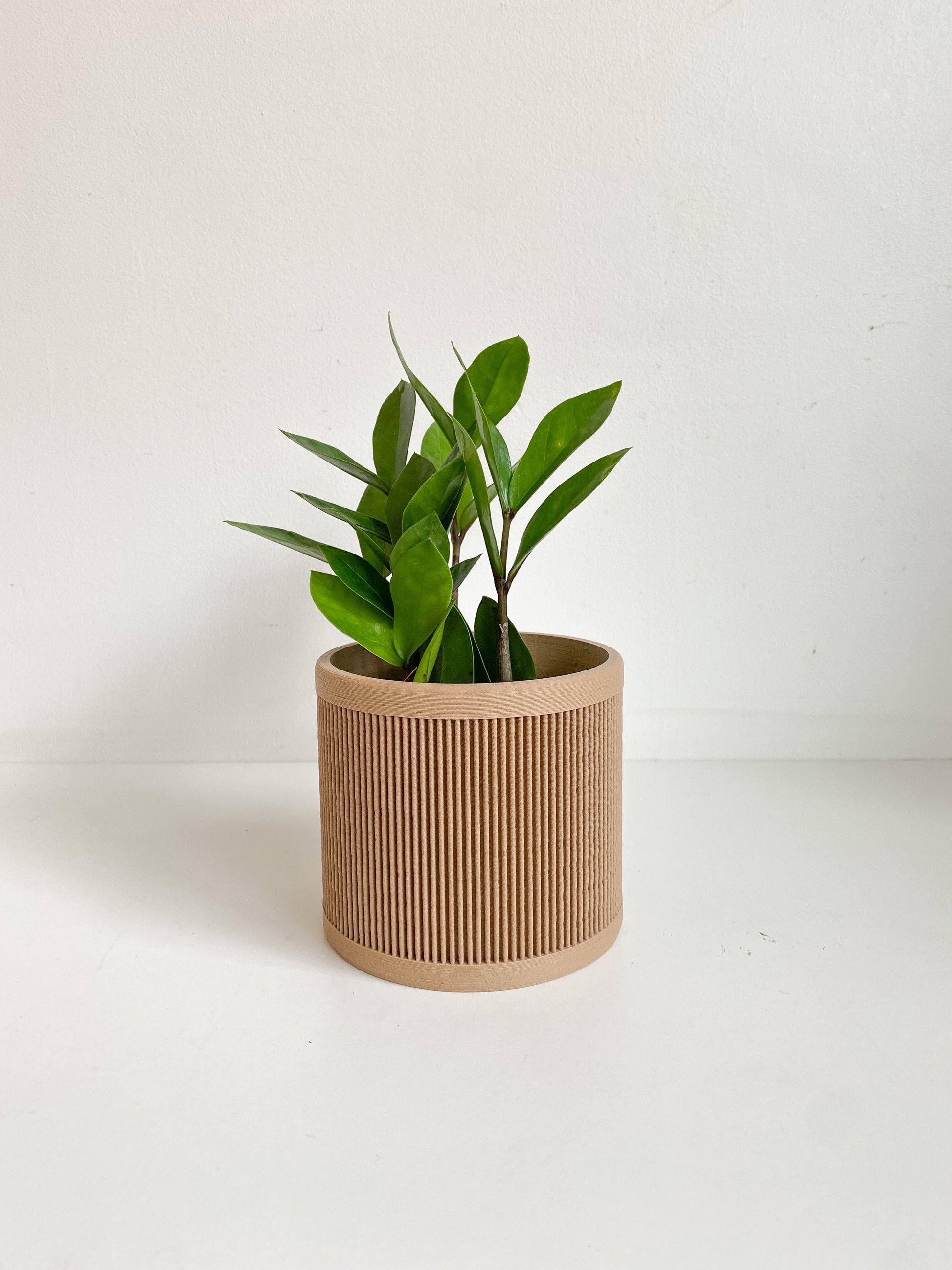 Cache pot ’Le Ligné’