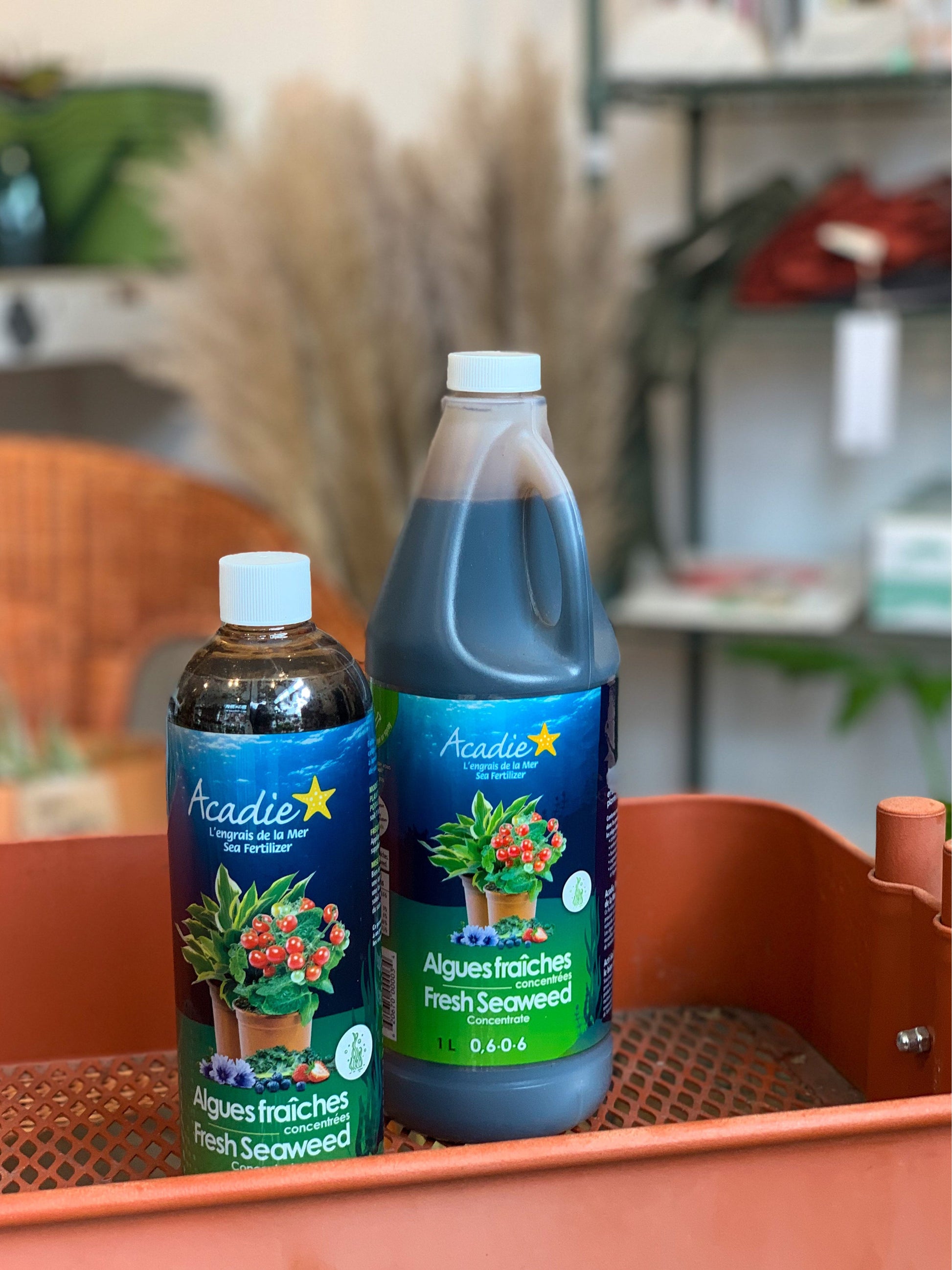 Engrais d’algues liquide
