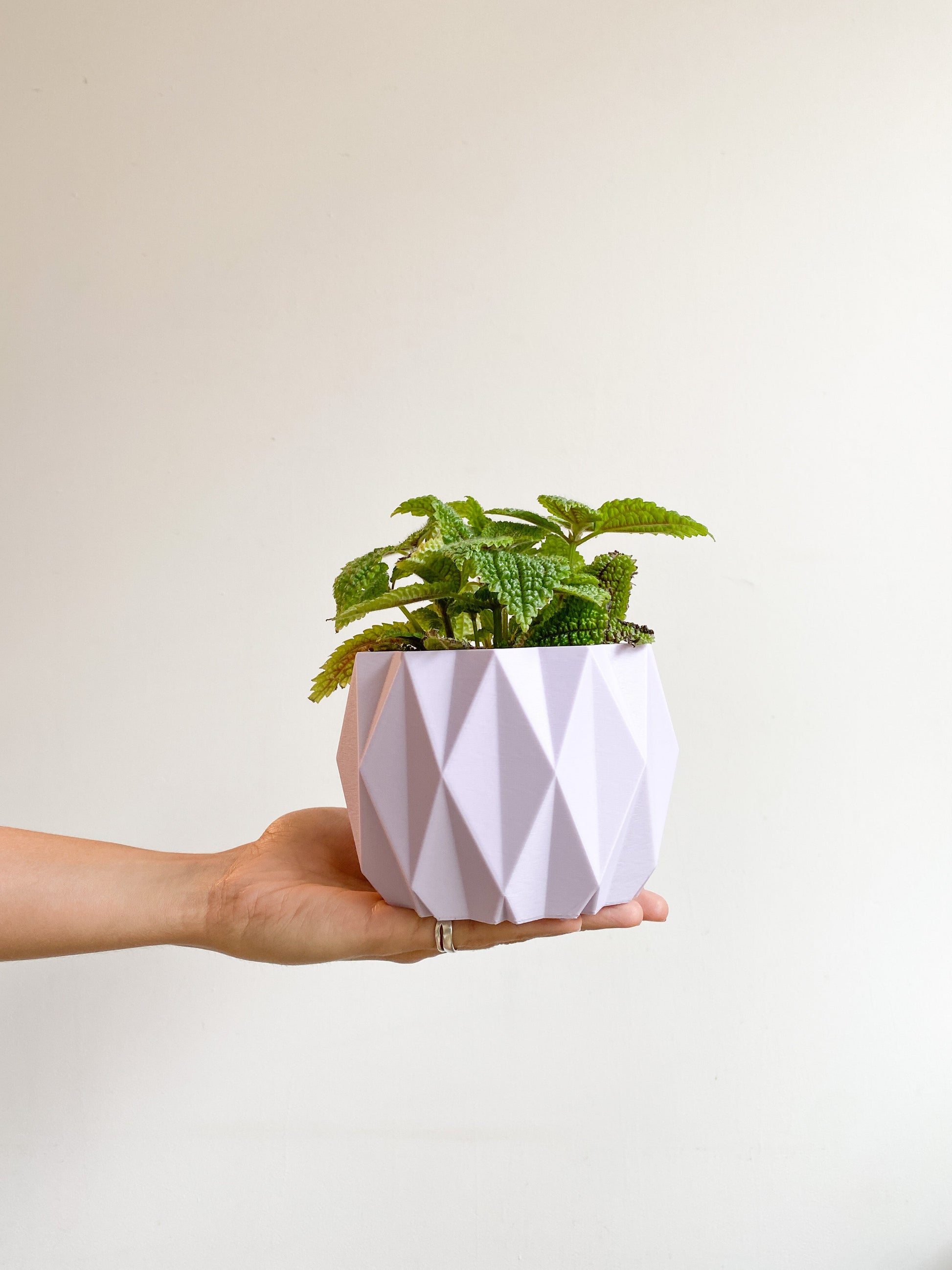 Cache pot ’Le Stylé’ - Petit (4 po.) / Lavande