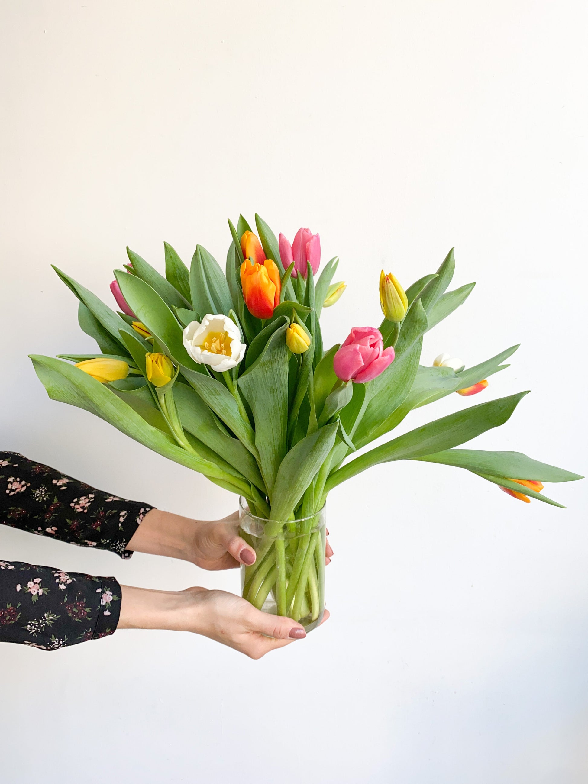 Tulipes 🌷 - Tulipe à l’unité (en boutique uniquement) - 