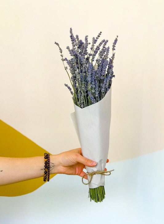 Lavande séchée - Alma Plantes