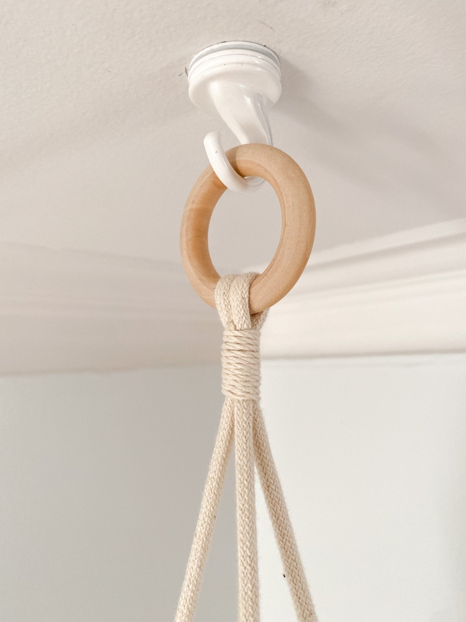 Modules en bois - Alma Plantes