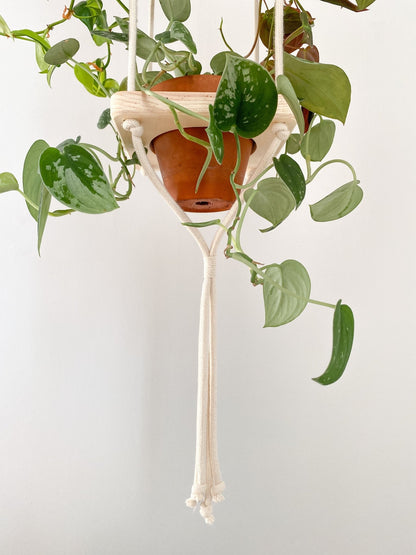 Modules en bois - Alma Plantes