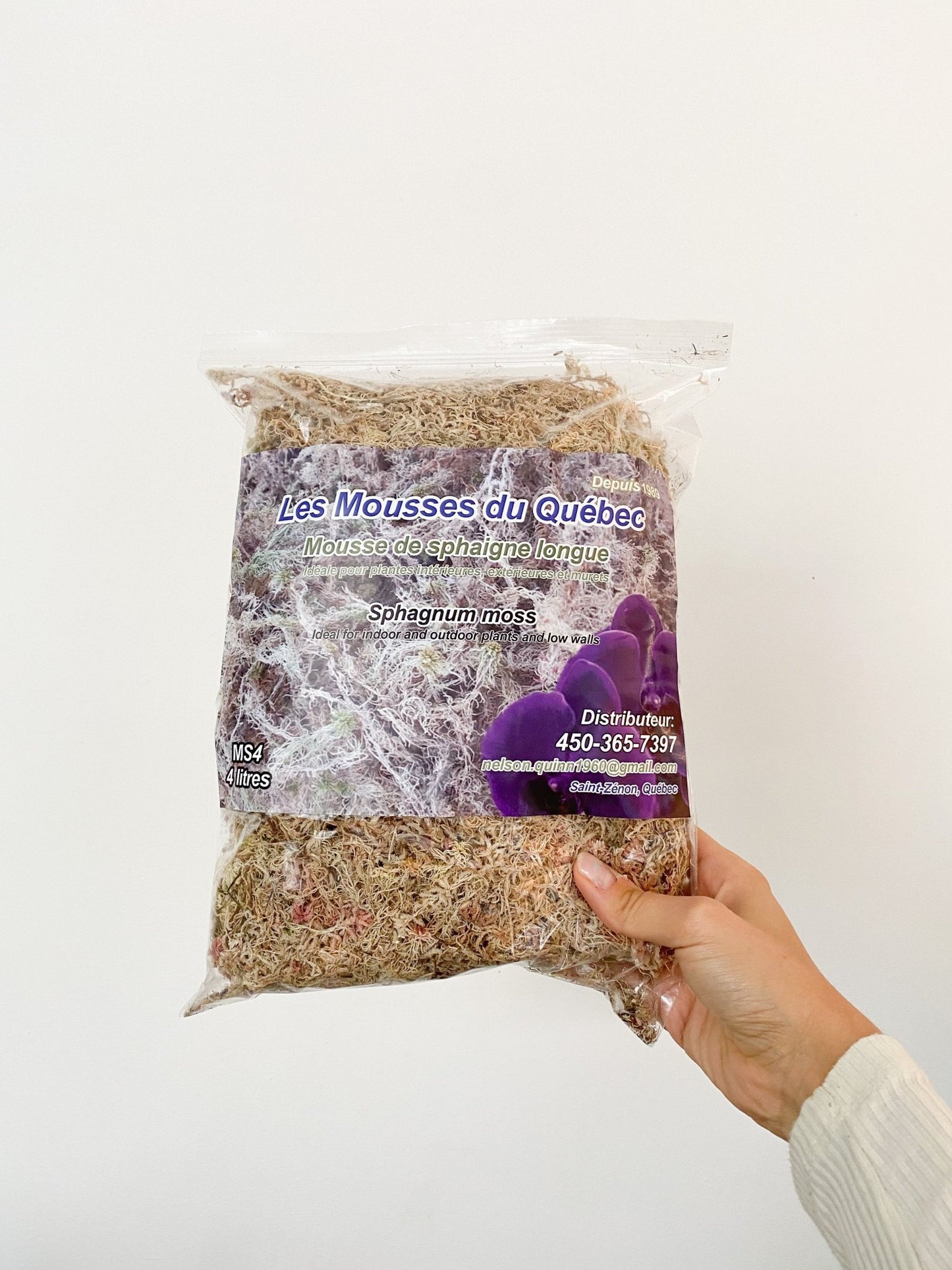 Mousse de Sphaigne - Alma Plantes