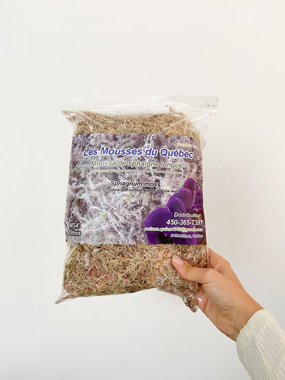 Mousse de Sphaigne - Alma Plantes
