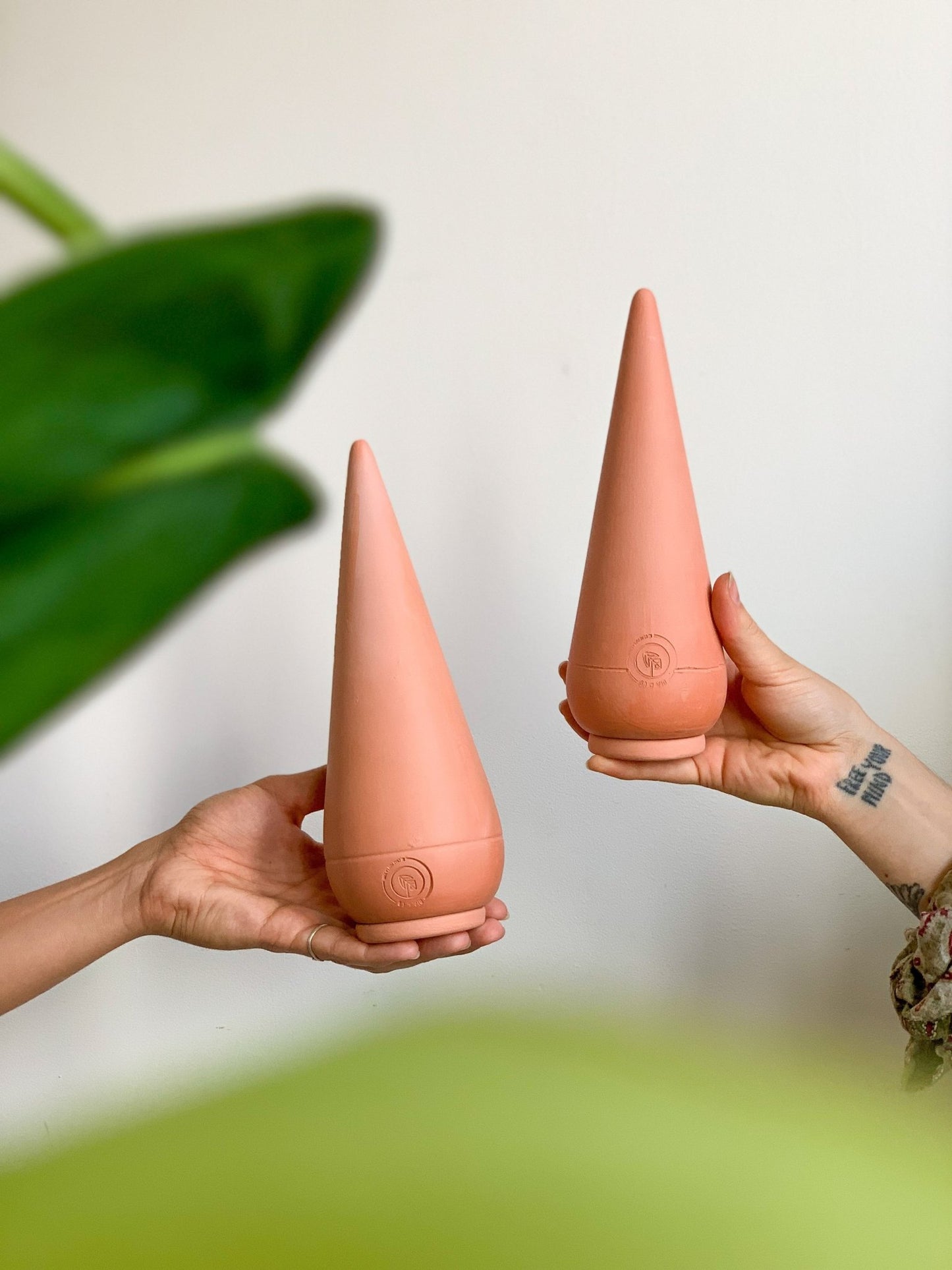 Olla ''Mini'' & ‘’Pointu” - Alma Plantes