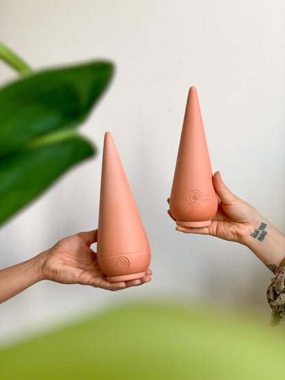 Olla ''Mini'' & ‘’Pointu” - Alma Plantes