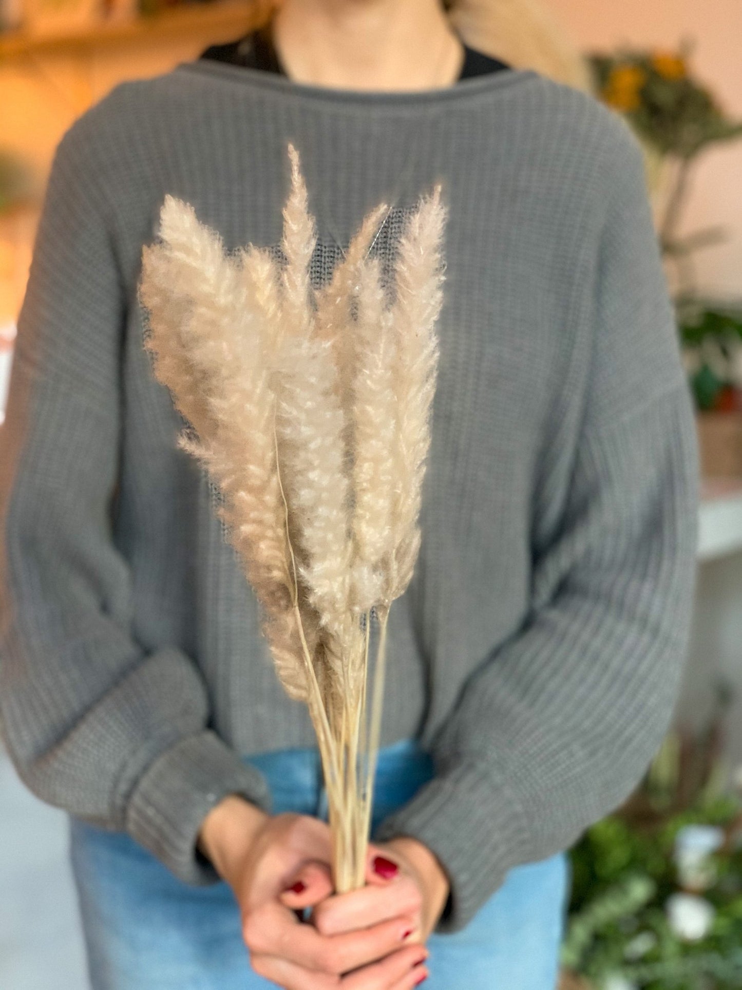 Pampas - petit - Alma Plantes