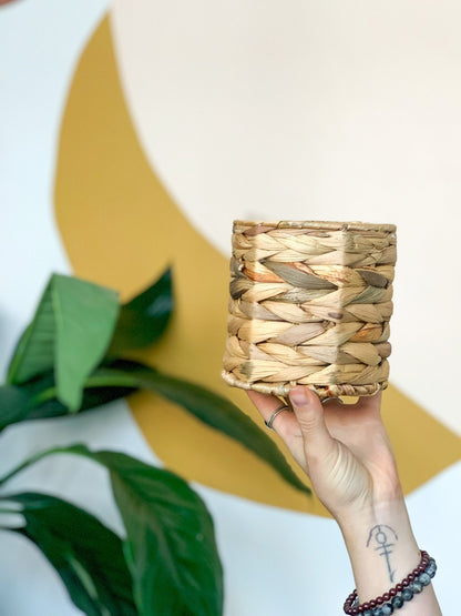 Panier en hyacinthe - Alma Plantes