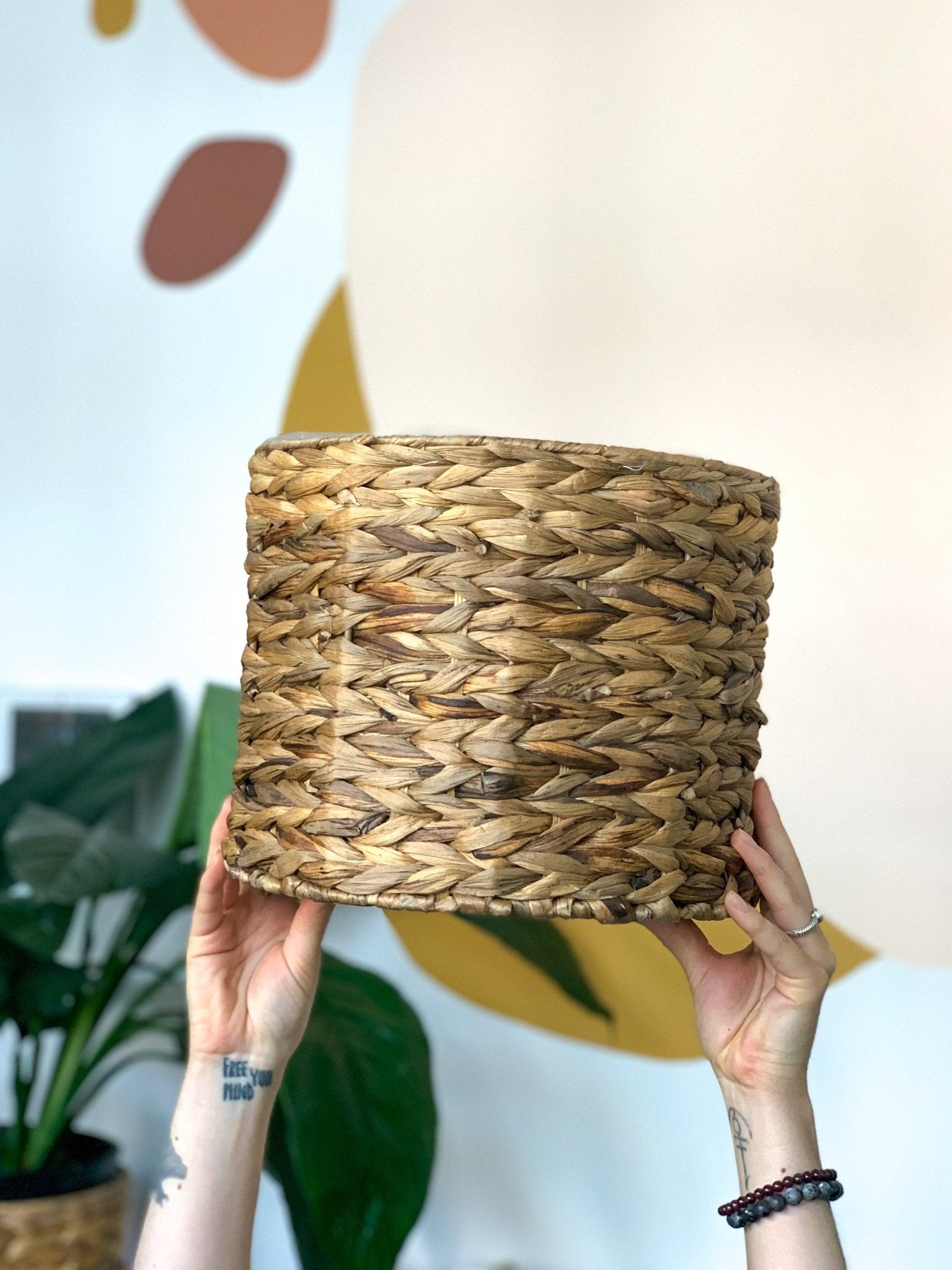 Panier en hyacinthe - Alma Plantes