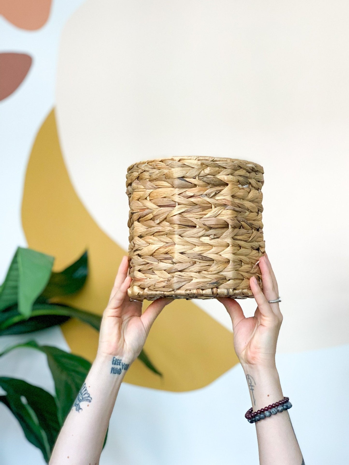 Panier en hyacinthe - Alma Plantes