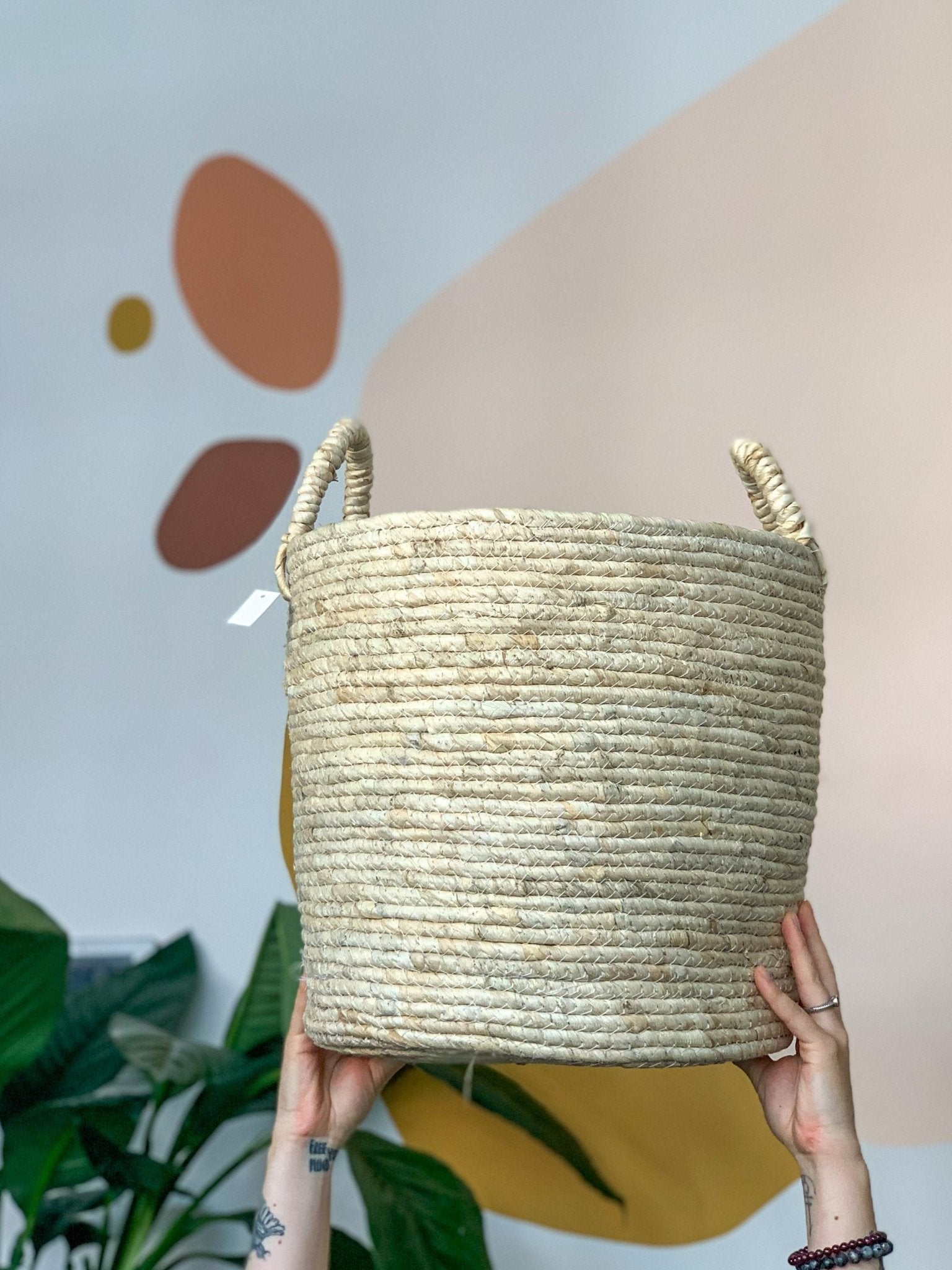 Panier en osier - Crème - Alma Plantes