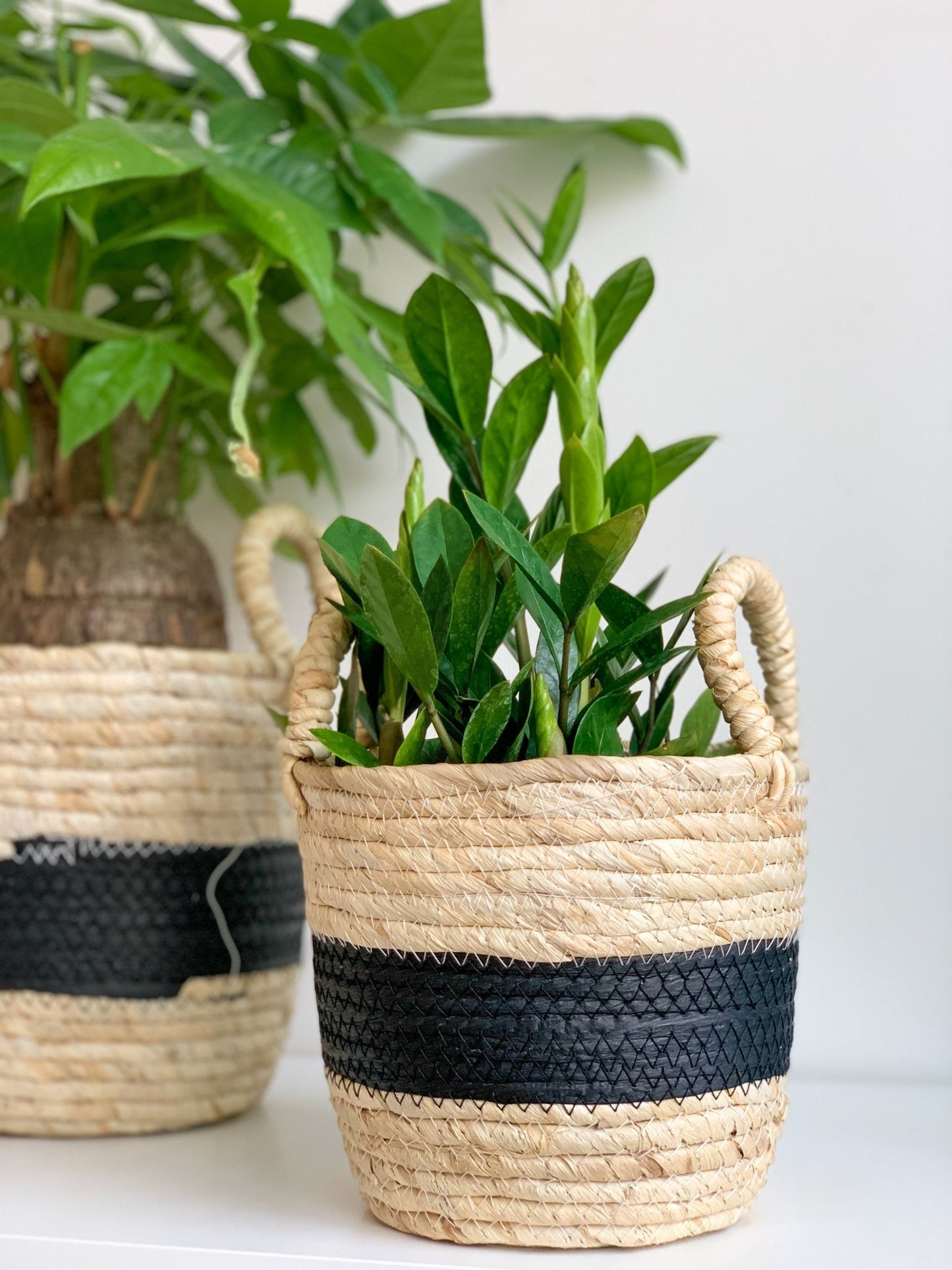 Panier en osier - Noir & Crème - Alma Plantes