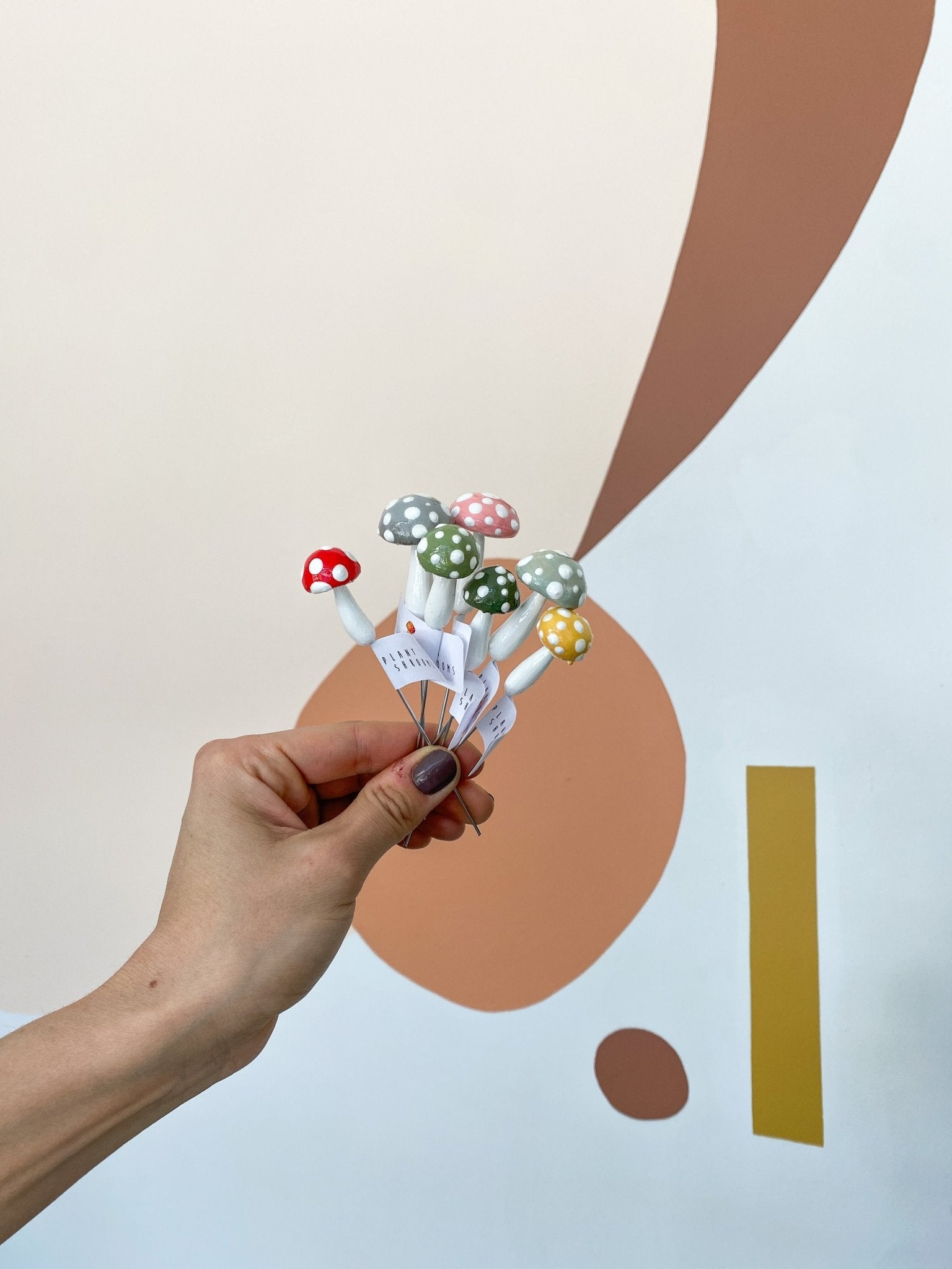 Plantshroom - Alma Plantes