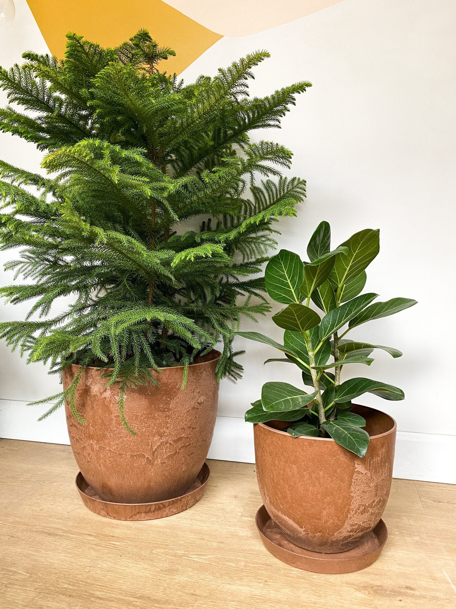 Pot Bola rouille - Alma Plantes