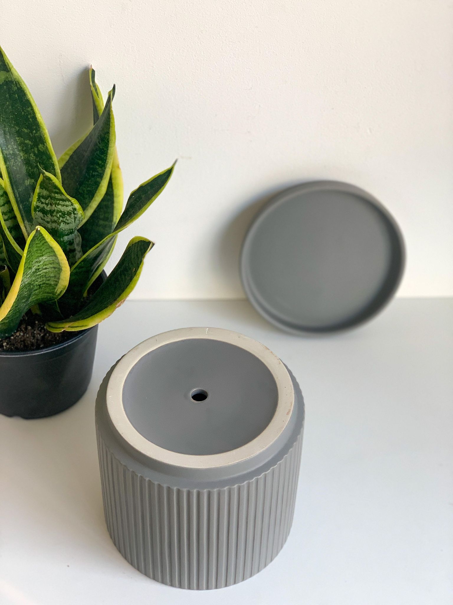 Pot cylindre en céramique - gris mat - Alma Plantes